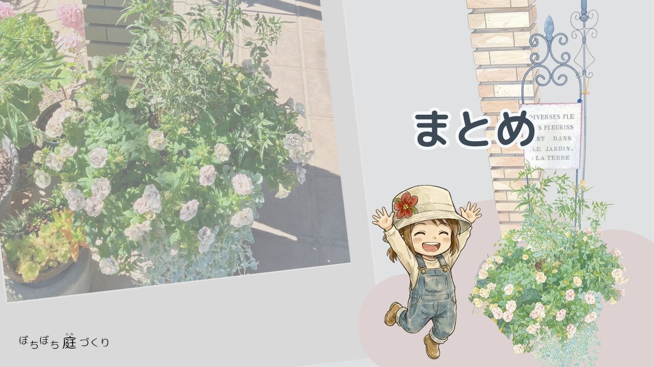 ペチュニアの寄せ植え 切り戻しその後まとめ