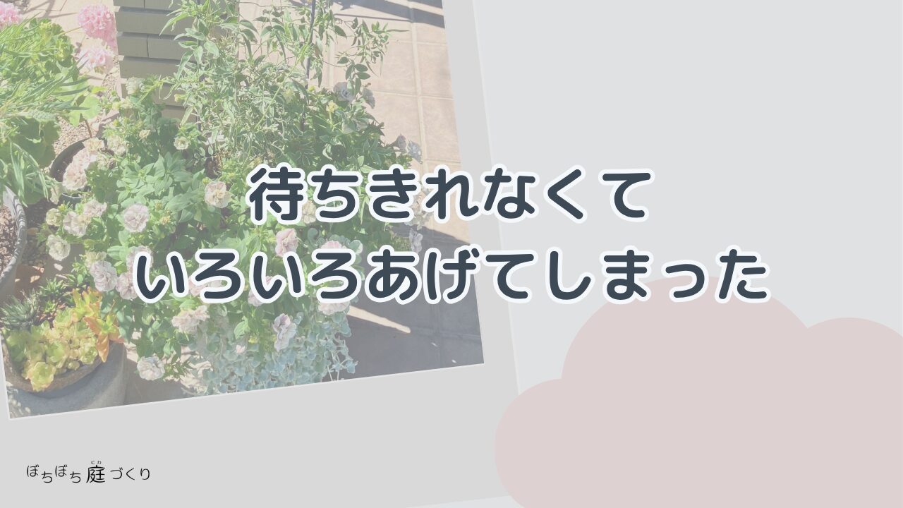 待ちきれなくていろいろあげてしまったの見出し画像