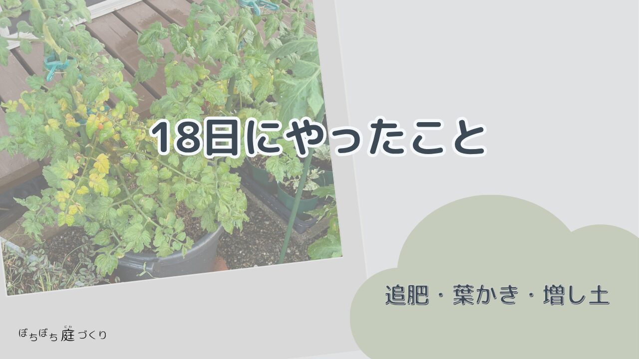 18日にやったことの見出し画像