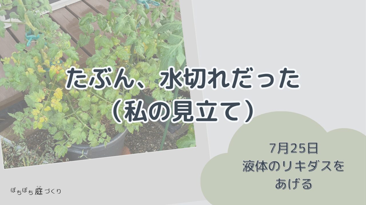 たぶん水切れだったの見出し画像