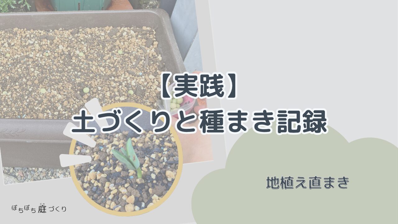 【実践】枝豆の土づくりと種まき記録の見出し画像