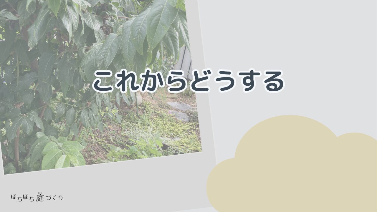 ロウバイのこれからどうするの見出し画像