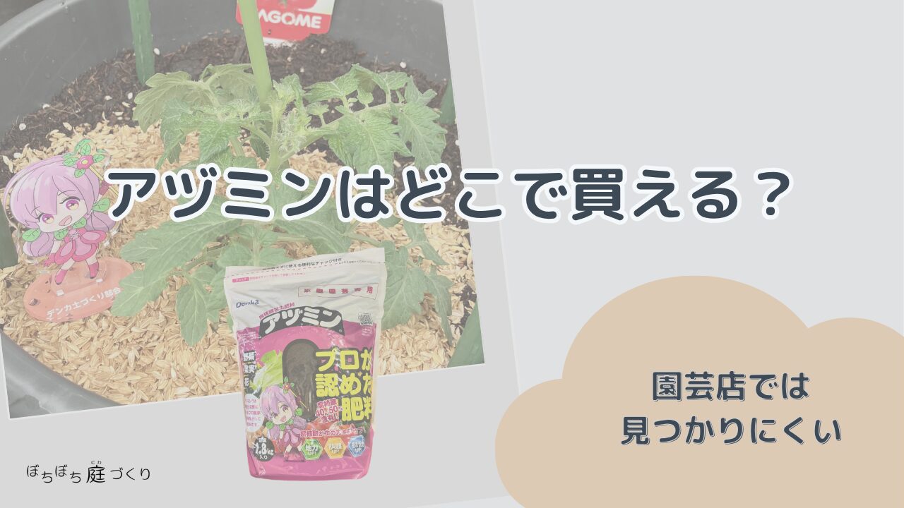 アヅミンはどこで買える？園芸店では見つかりにくい