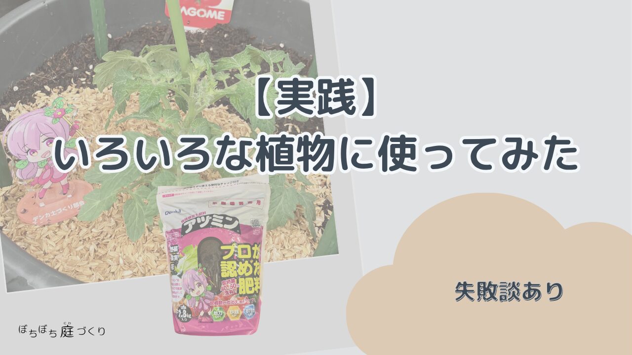 【実践】いろいろな植物にアヅミンを使ってみた（失敗談あり）