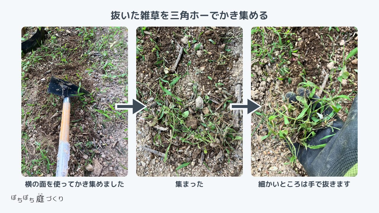 抜いた雑草を三角ホーの横の面でかき集める