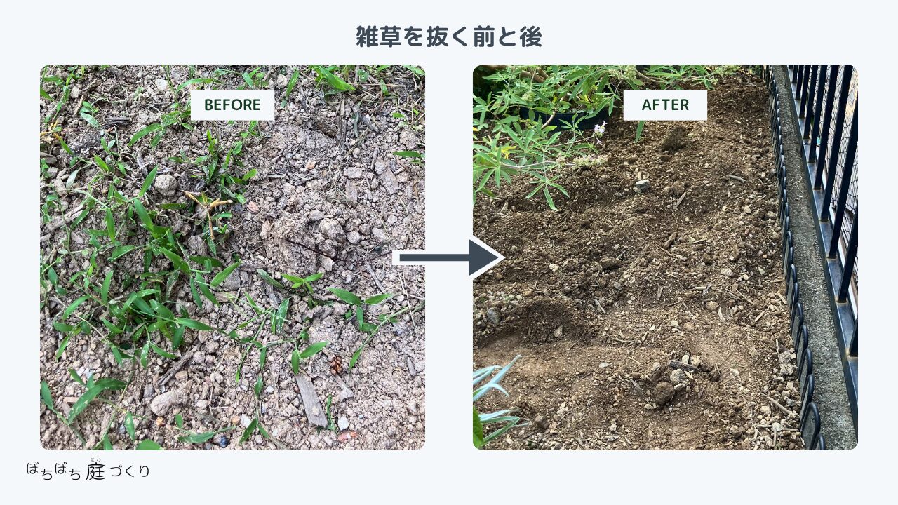 雑草を抜く前と後(ビフォーアフター)