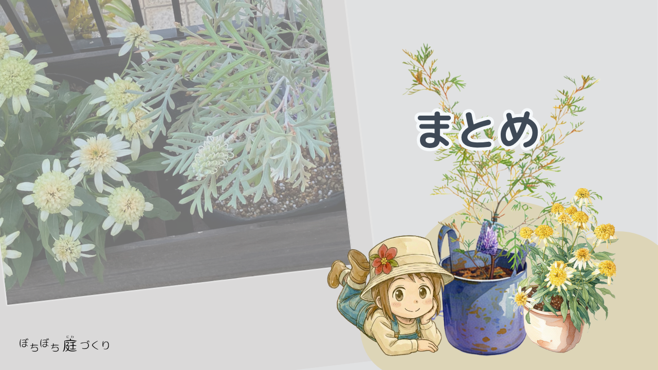 グレビレア ドーンパープルとエキナセア レモンドロップのまとめ