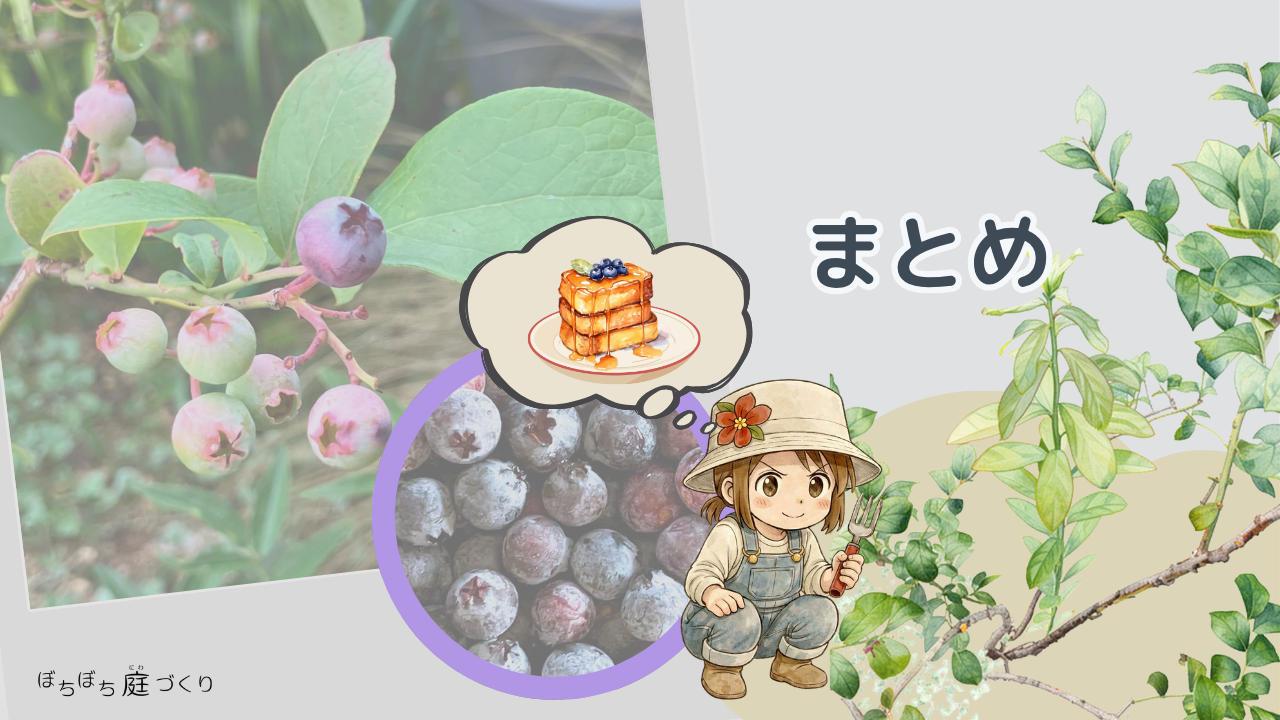 まとめの見出し画像