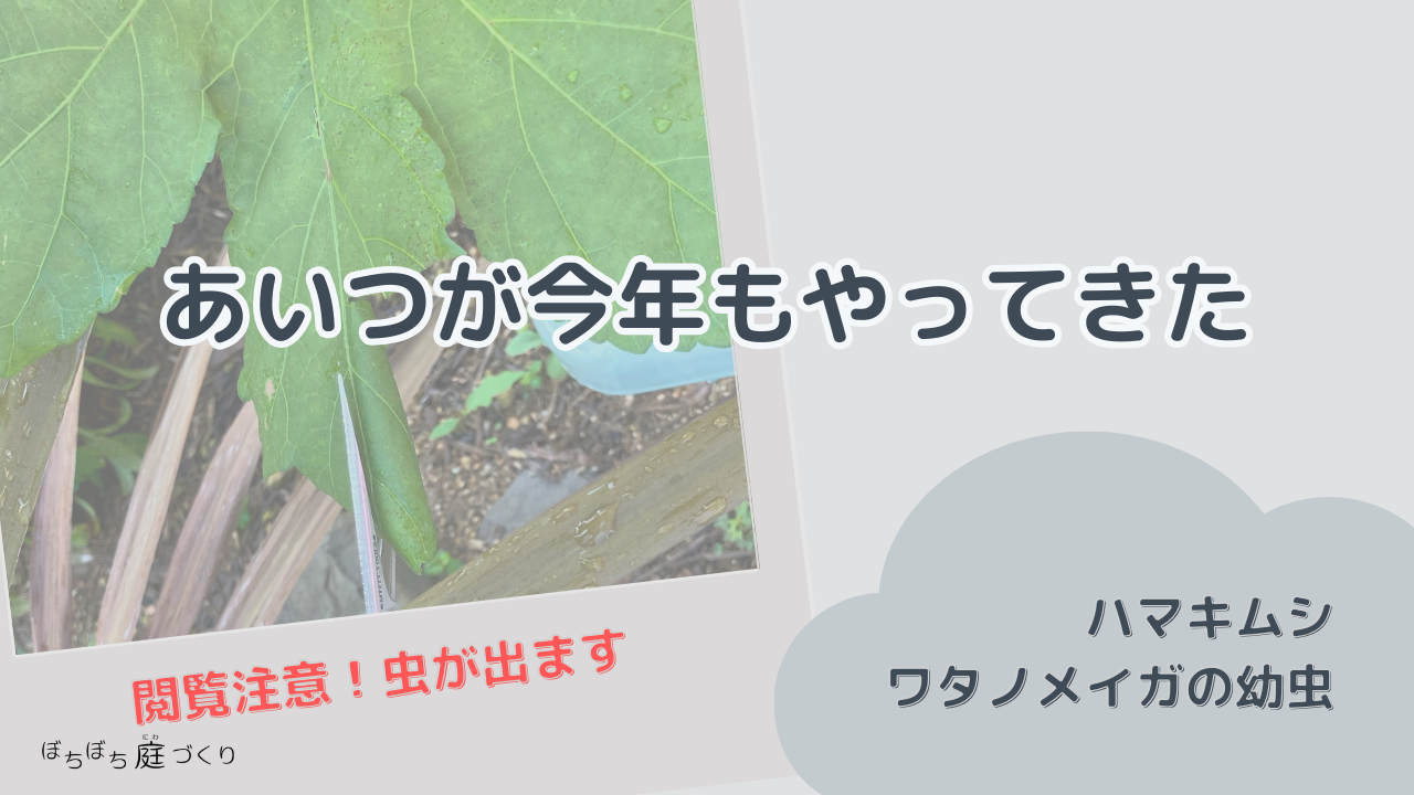 あいつが今年もやってきたの見出し画像