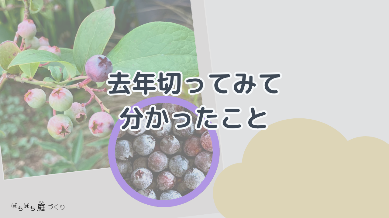去年切ってみて分かったことの見出し画像