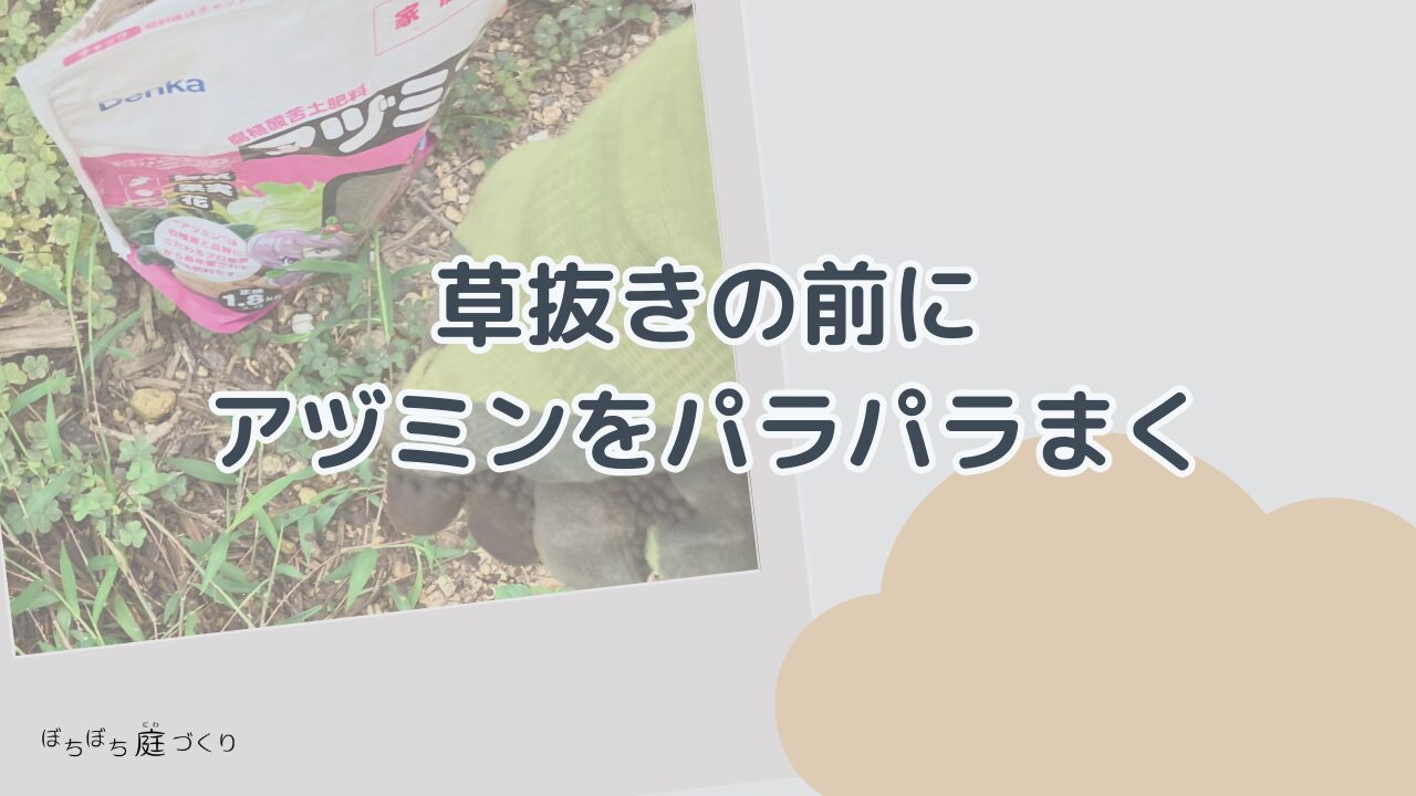 草抜きの前にアヅミンをパラパラまくの見出し画像