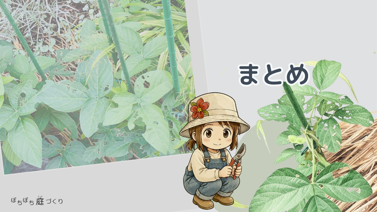 枝豆の育て方②のまとめ