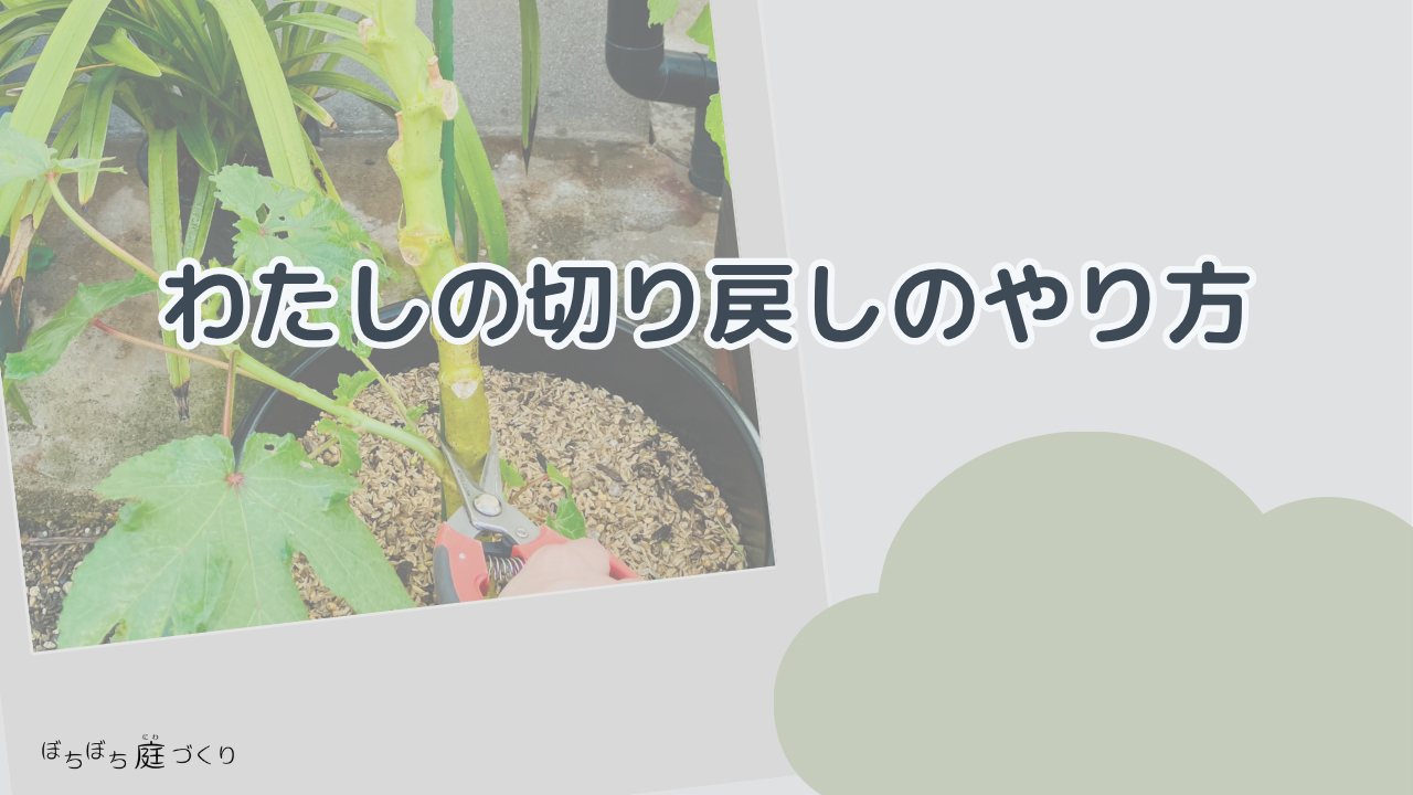 わたしの切り戻しのやり方の見出し画像