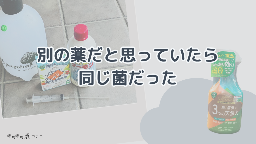 別の薬だと思っていたら、同じ菌だったの見出し画像