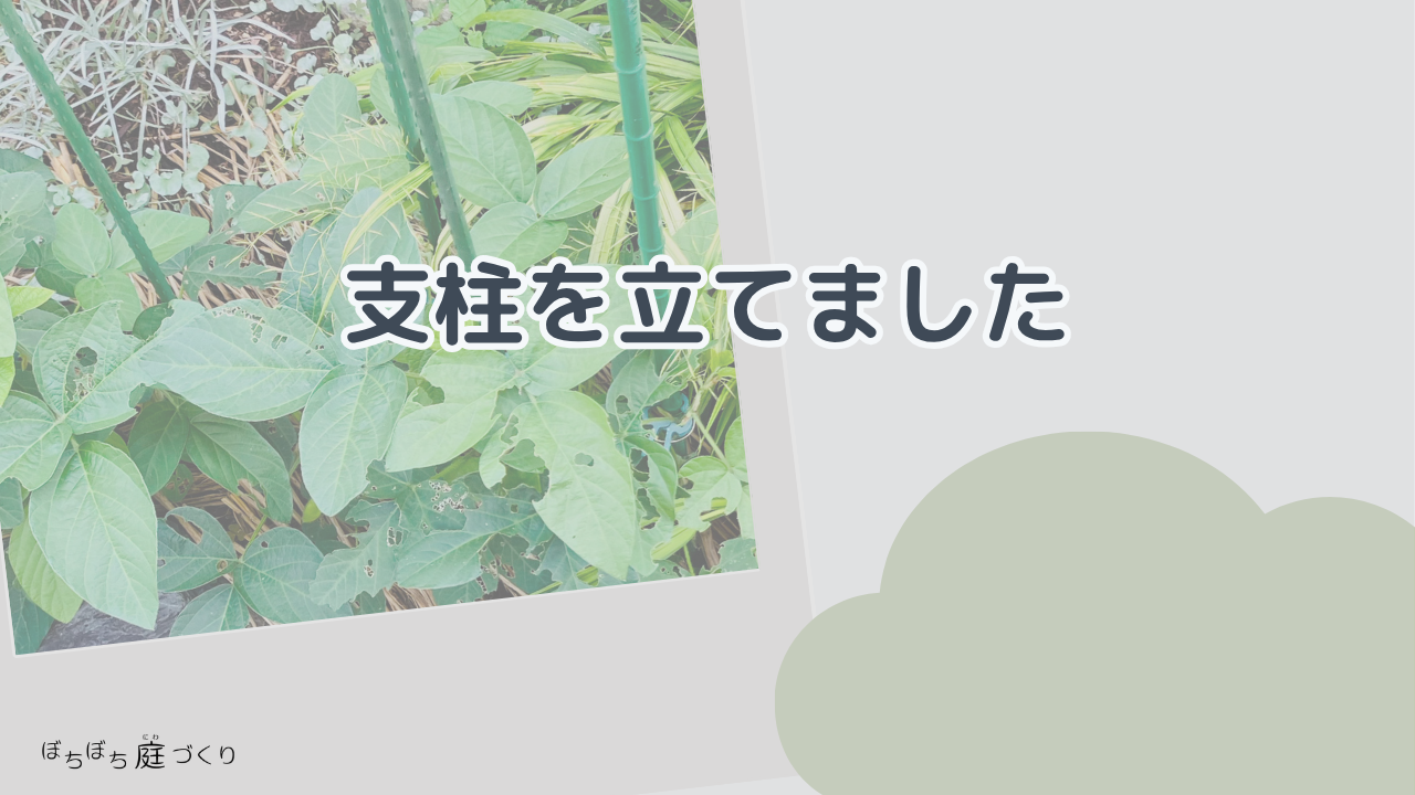 支柱を立てましたの見出し画像