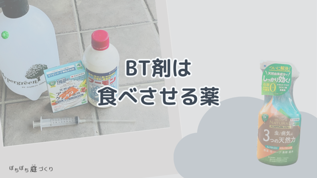 BT剤は食べさせる薬の見出し画像