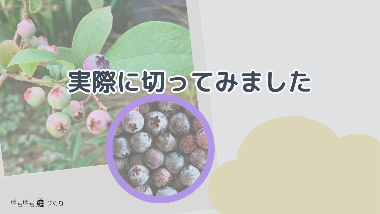 実際に切ってみましたの見出し画像