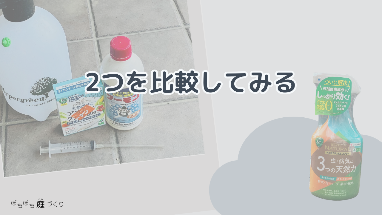 2つを比較してみるの見出し画像