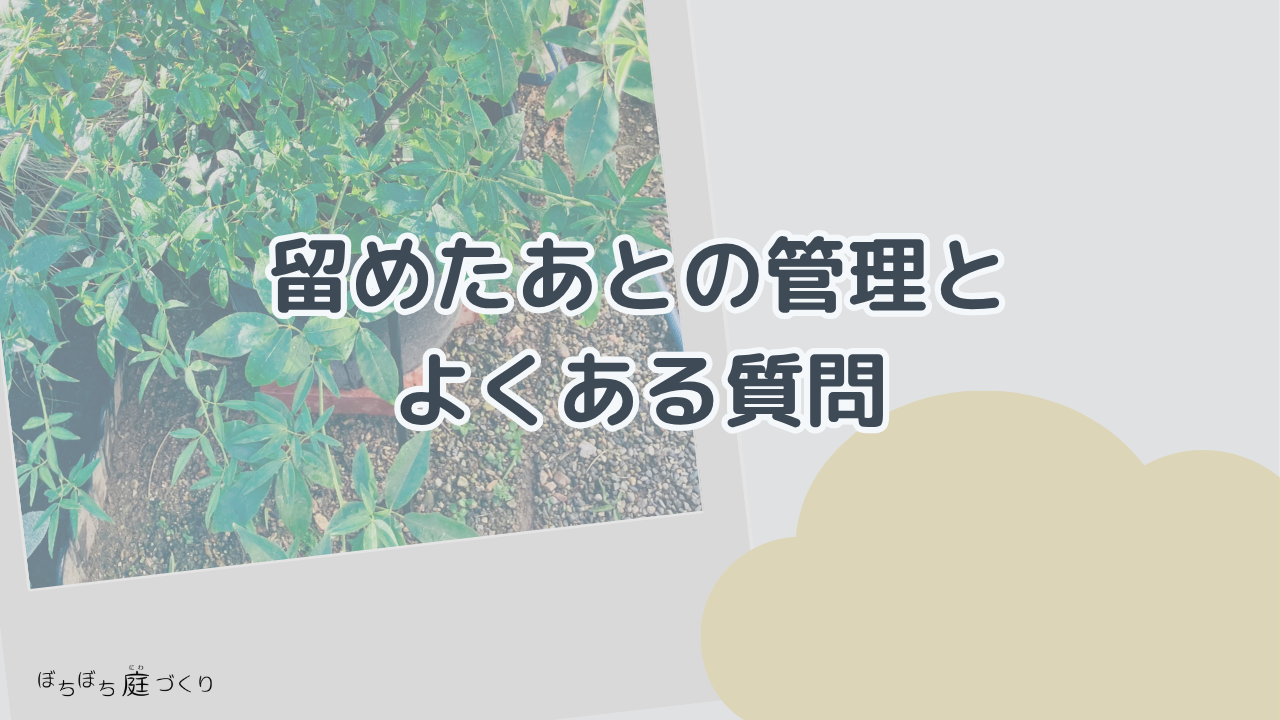 留めたあとの管理の見出し画像