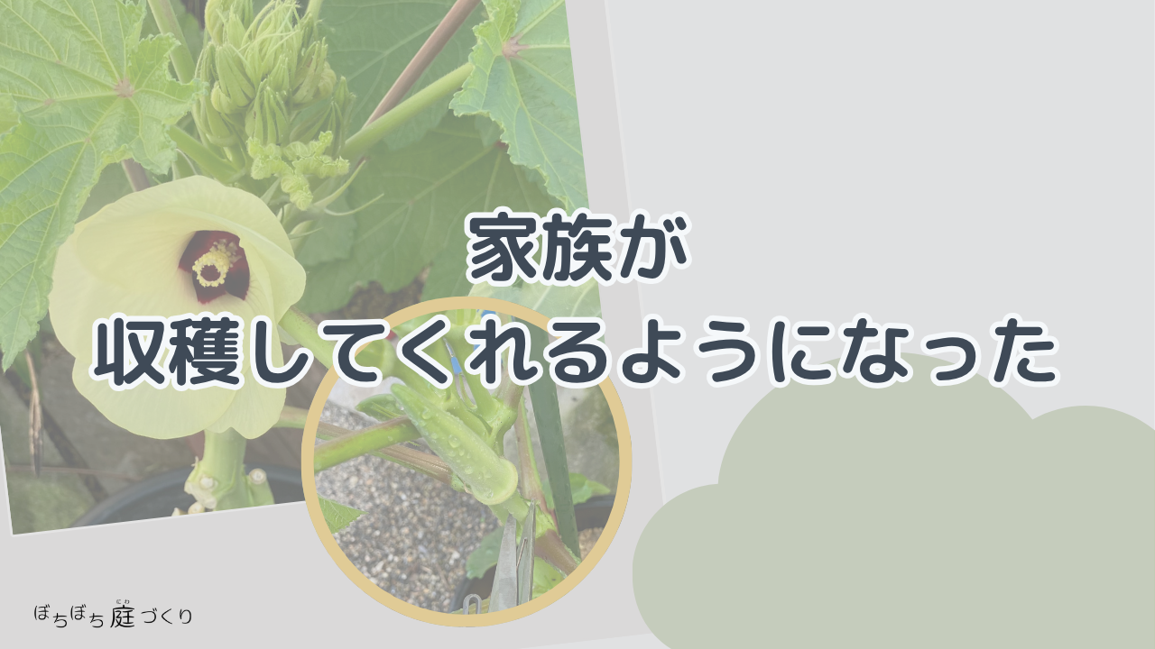 家族が収穫してくれるようになったの見出し画像