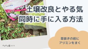 土壌改良とやる気が同時に手に入る方法(草抜きの前にアヅミンをまく)