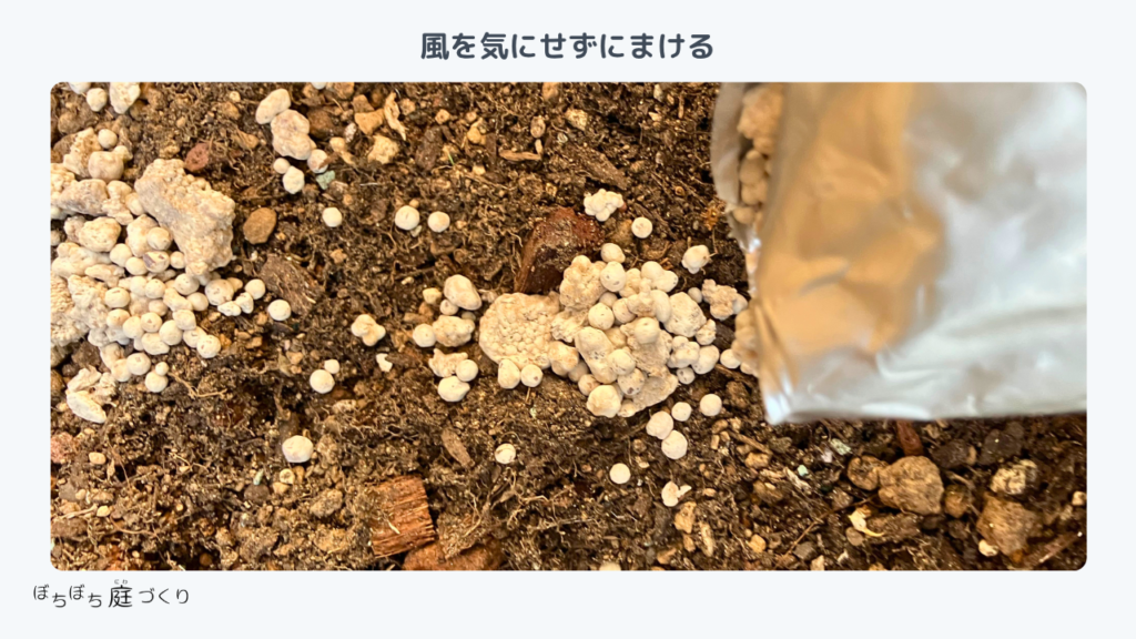 土の上にまいた粒カルス。大きな塊も混ざっている
