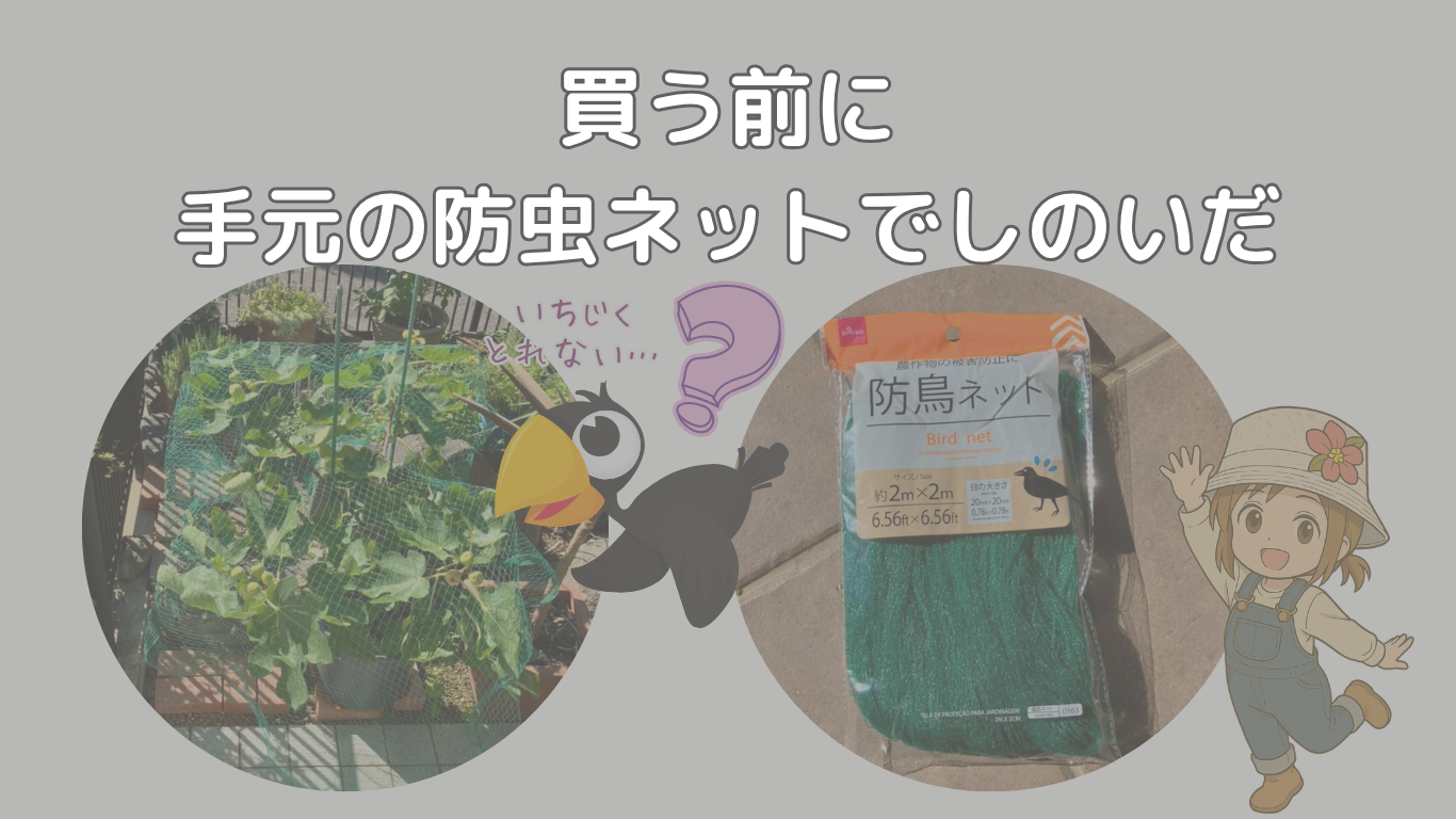 買う前に、手元の防虫ネットでしのいだの見出し画像