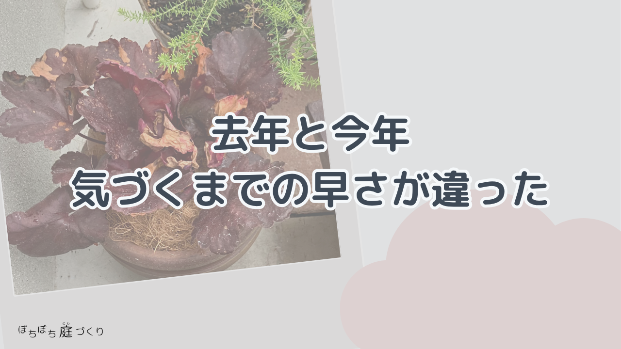 去年と今年、気づくまでの早さがちがったの見出し画像