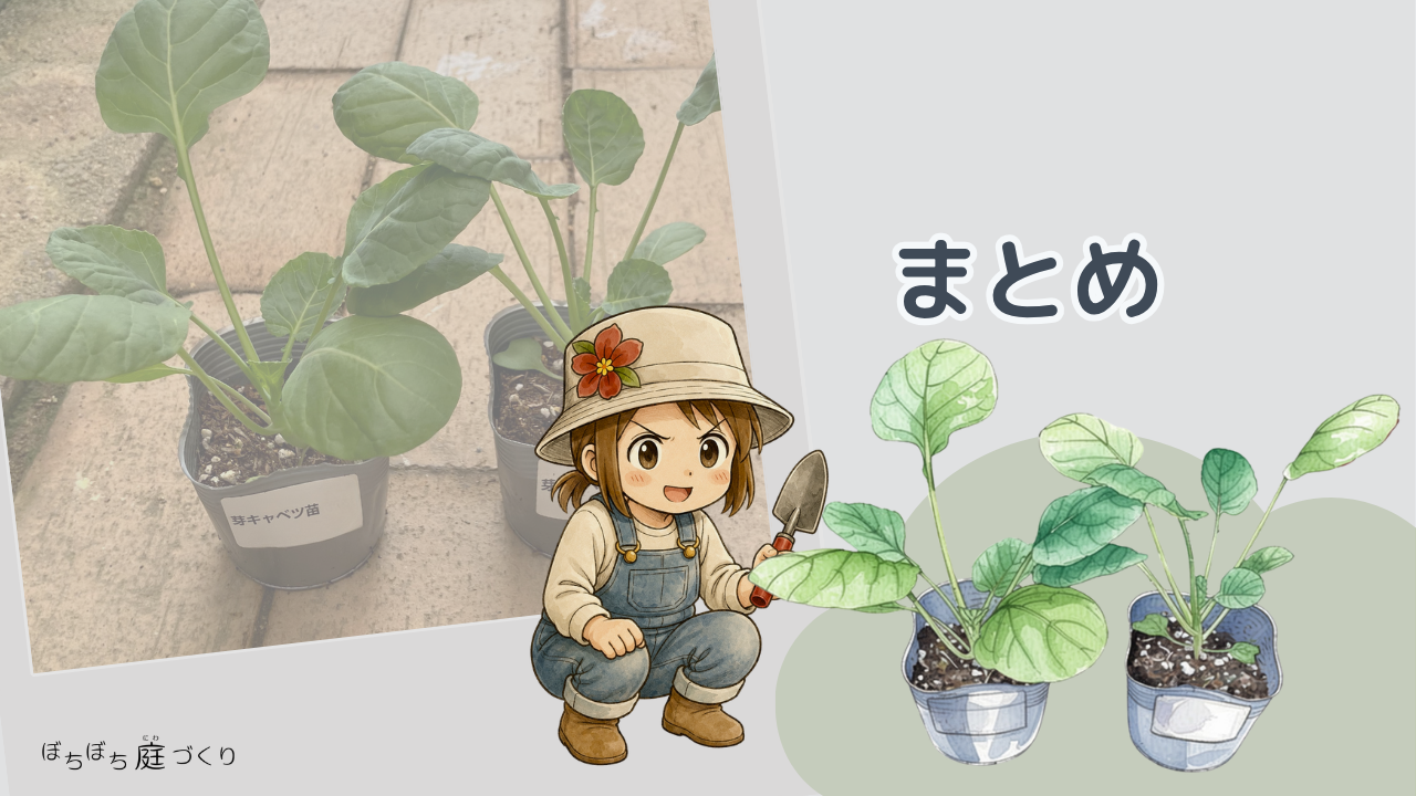 まとめの見出し画像