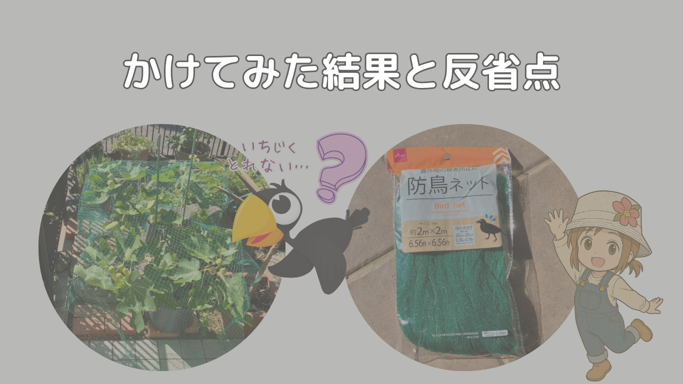 かけてみた結果と反省点の見出し画像