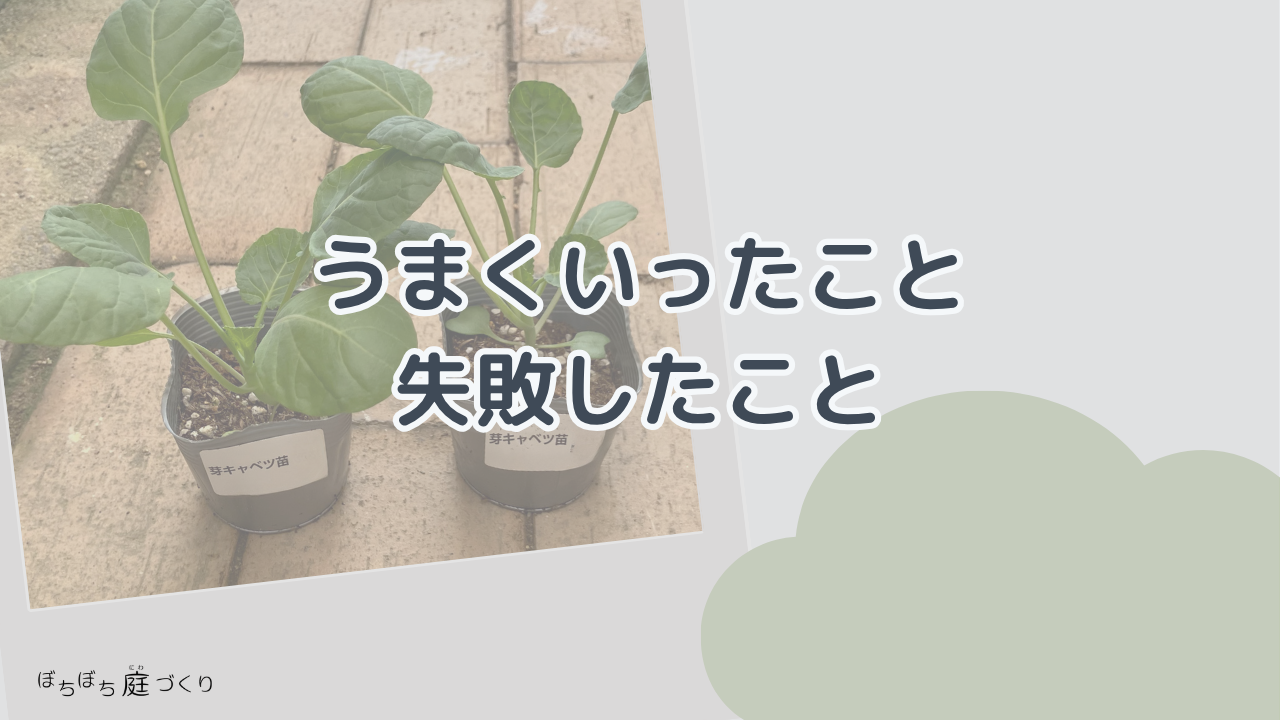 うまくいったこと、失敗したことの見出し画像