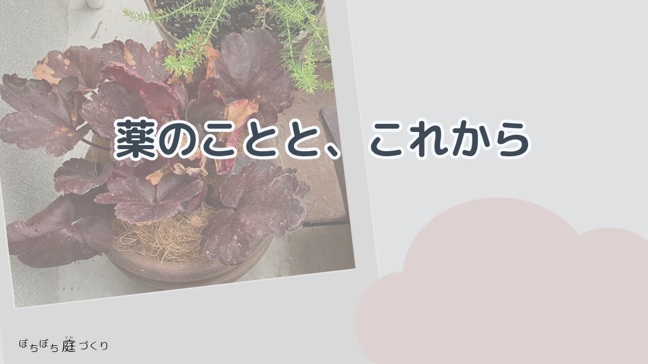 薬のことと、これからの見出し画像