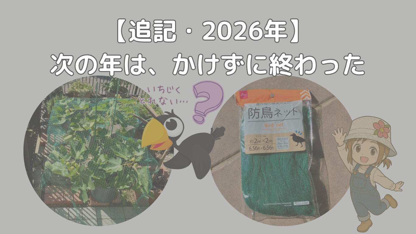 2026年の追記の見出し画像