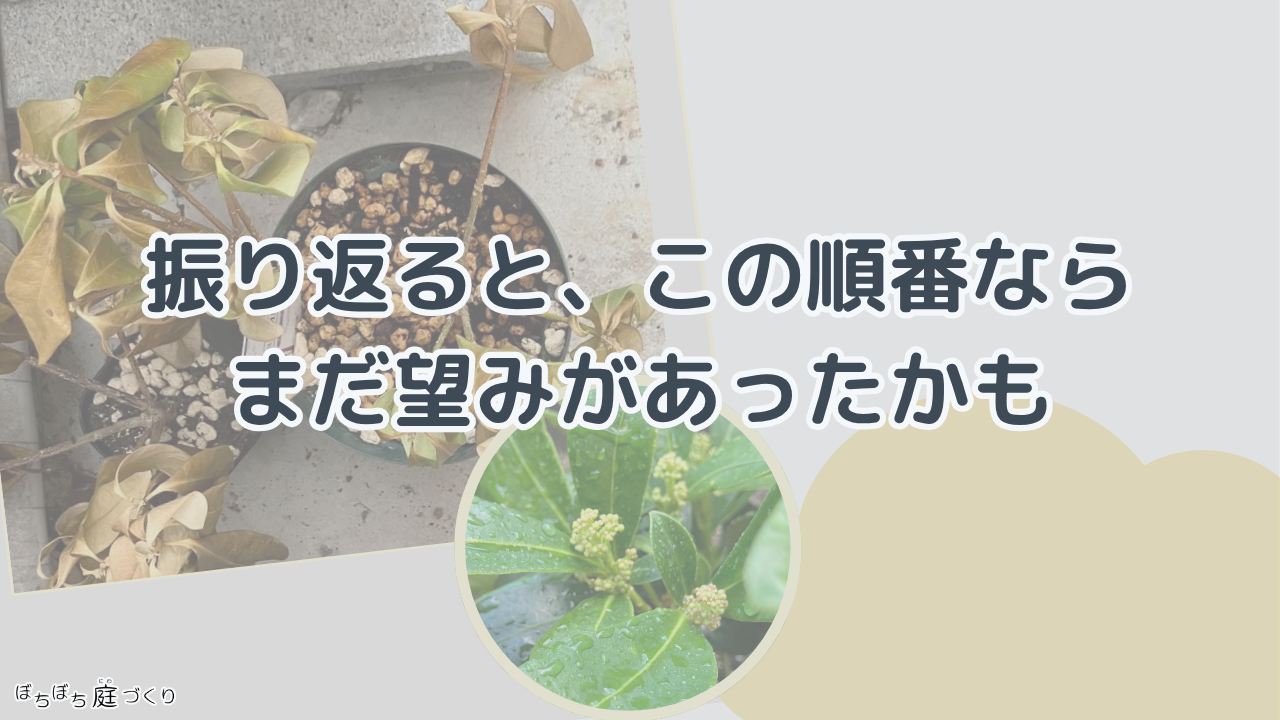 振り返りの見出し画像