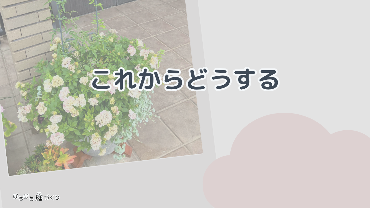 これからどうするの見出し画像