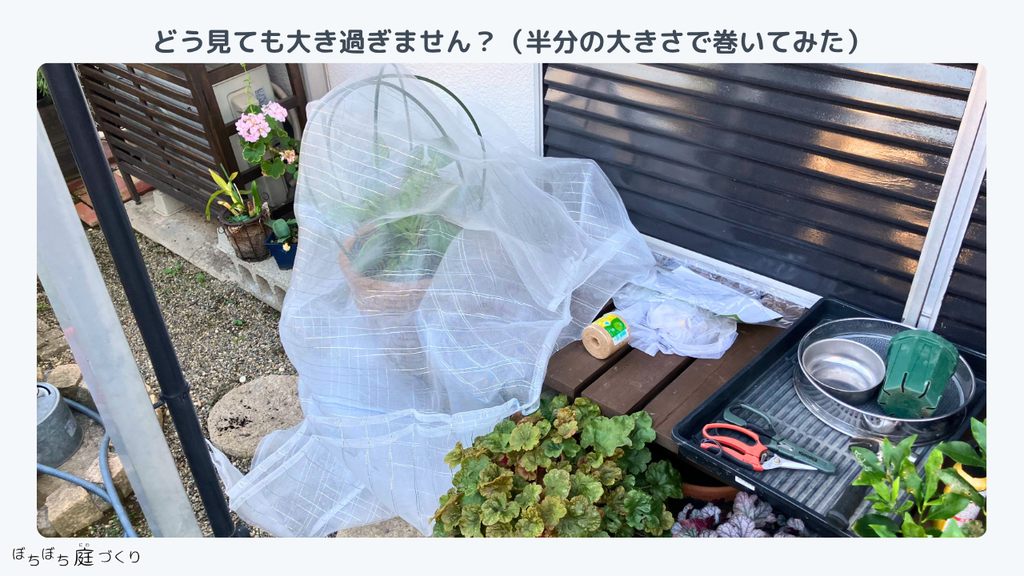 半分の大きさで巻いた防虫ネット。鉢に対して大きすぎる
