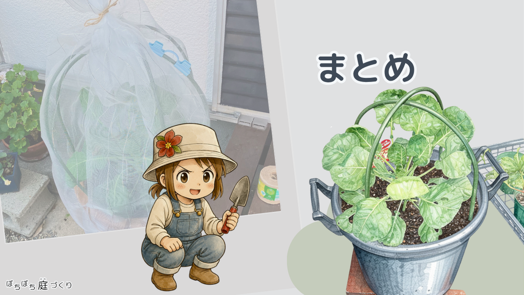 まとめの見出し画像