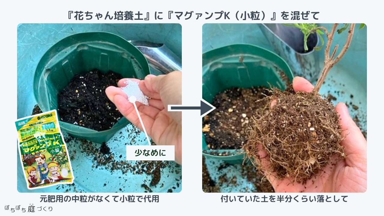 培養土にマグァンプKを混ぜる