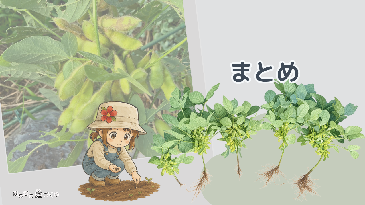 まとめの見出し画像