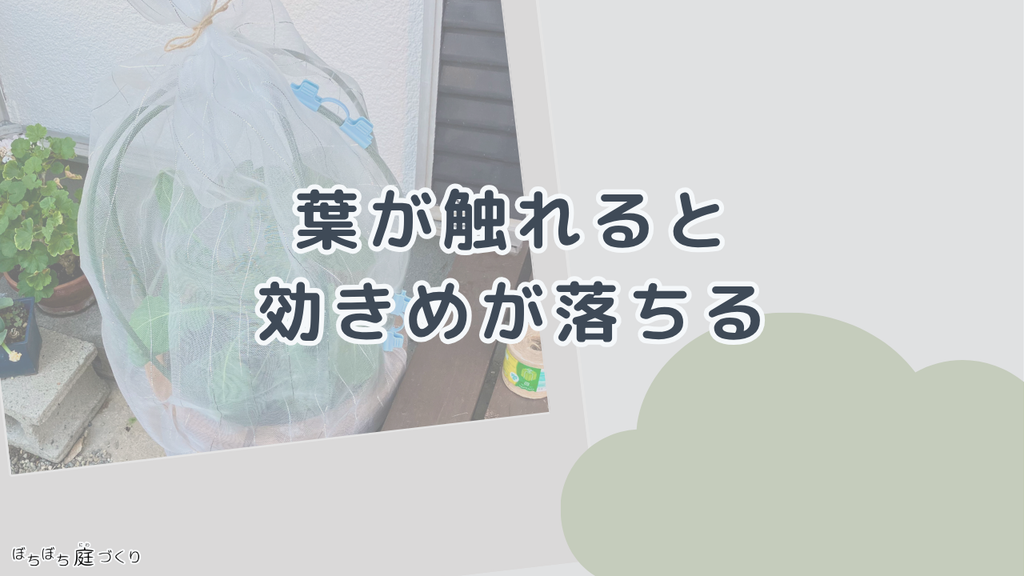 葉が触れると効きめが落ちるの見出し画像