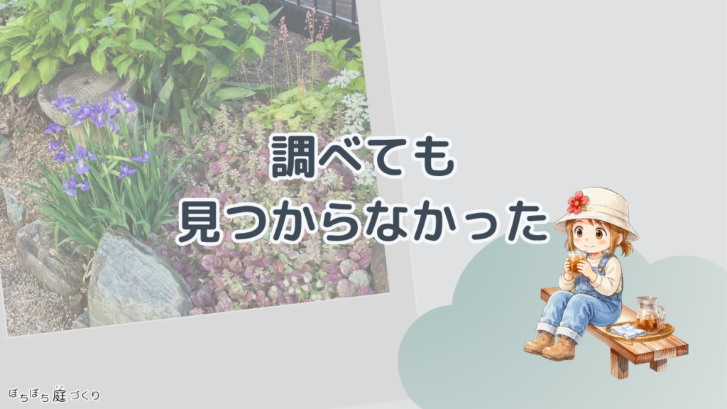 調べても、見つからなかったの見出し画像