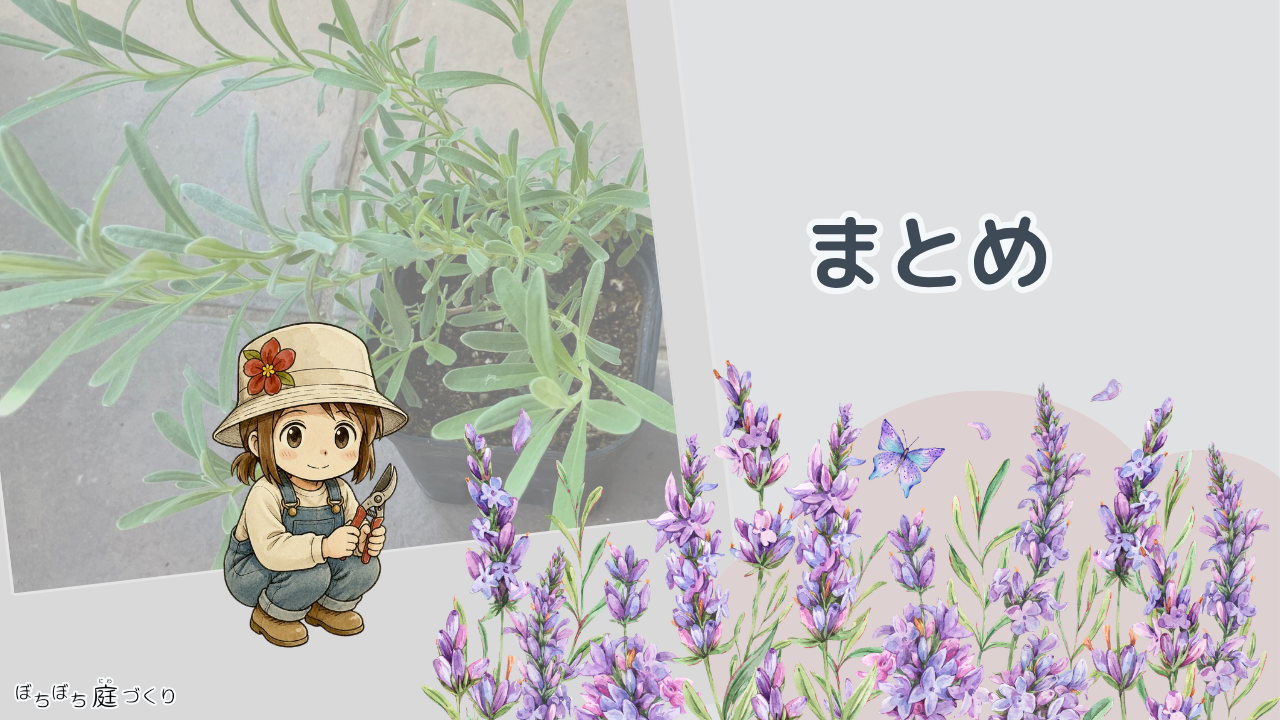 まとめの見出し画像