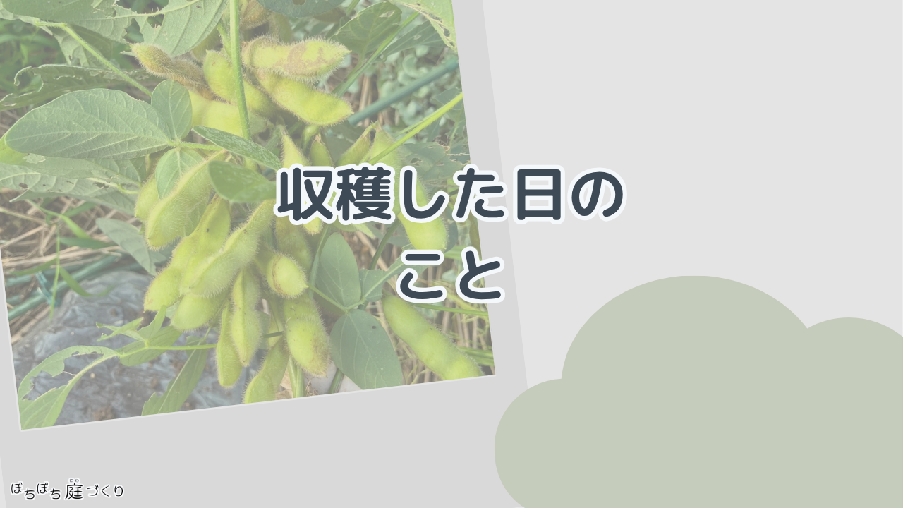 収穫した日のことの見出し画像