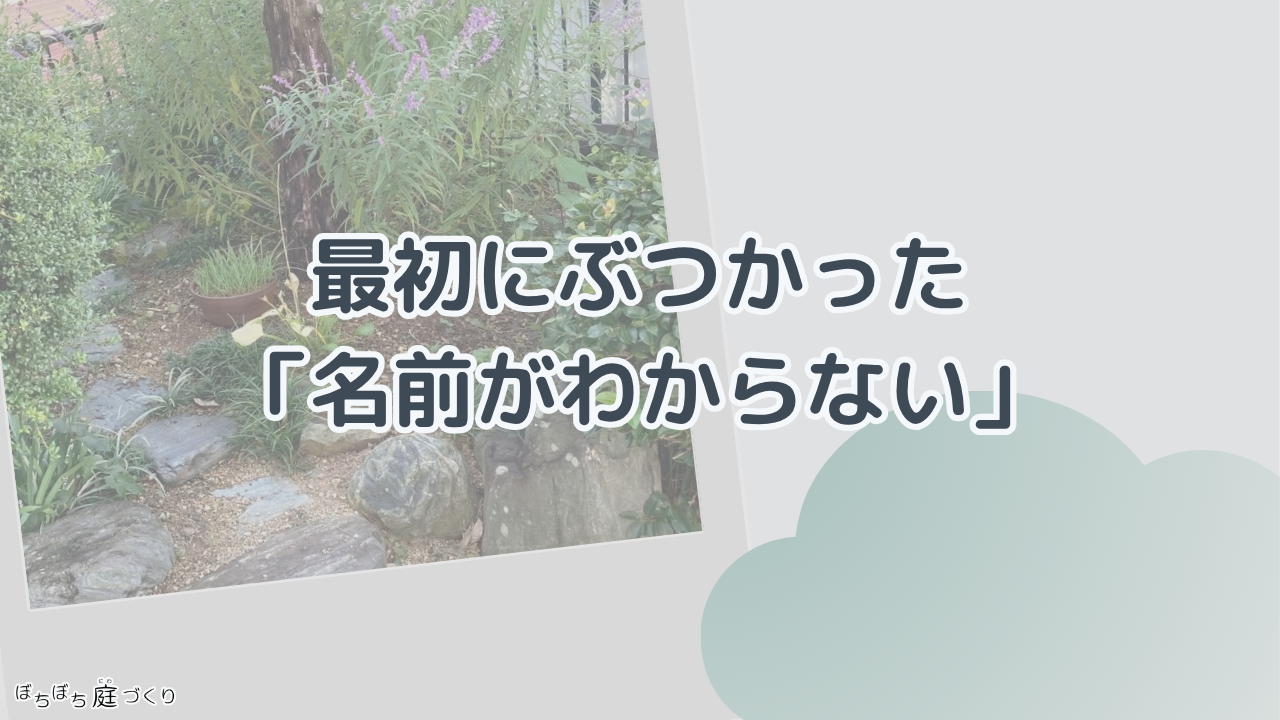 最初にぶつかった「名前がわからない」の見出し画像