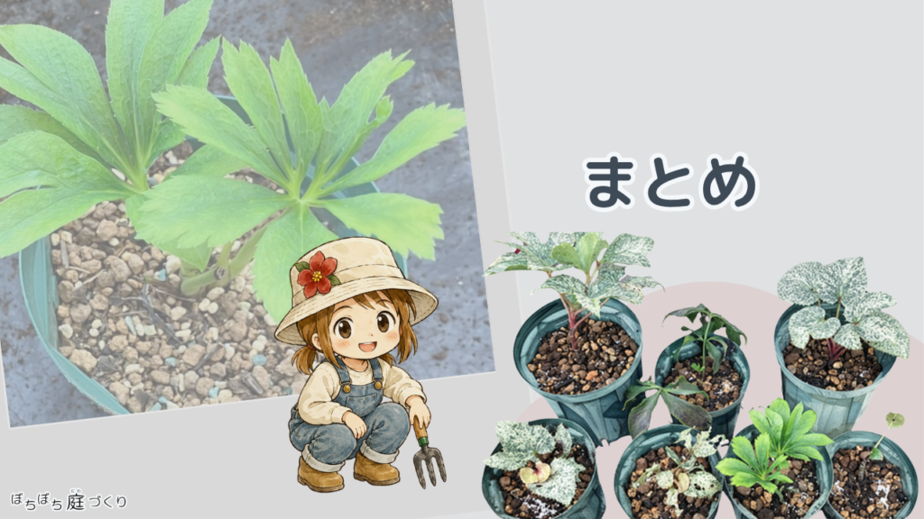 まとめの見出し画像