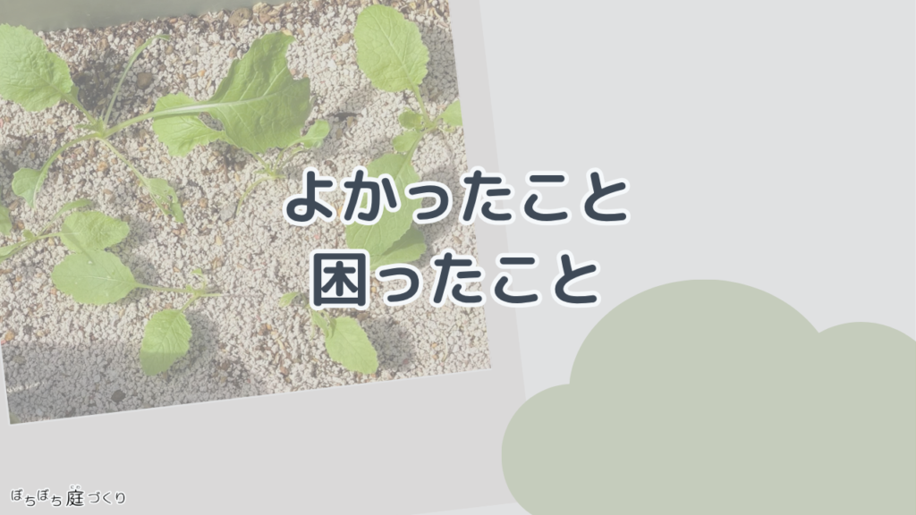 よかったこと、困ったことの見出し画像