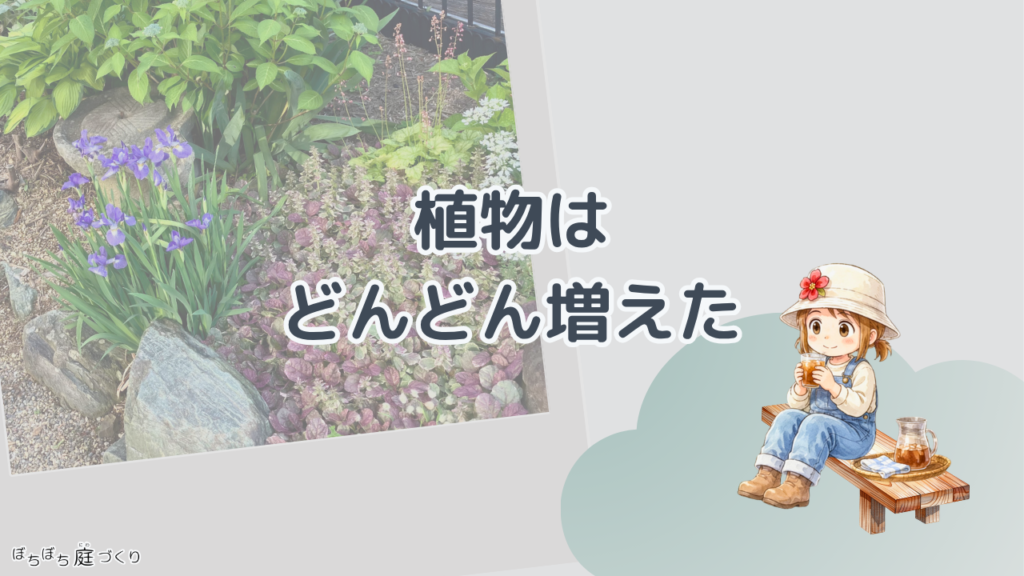 植物は、どんどん増えたの見出し画像
