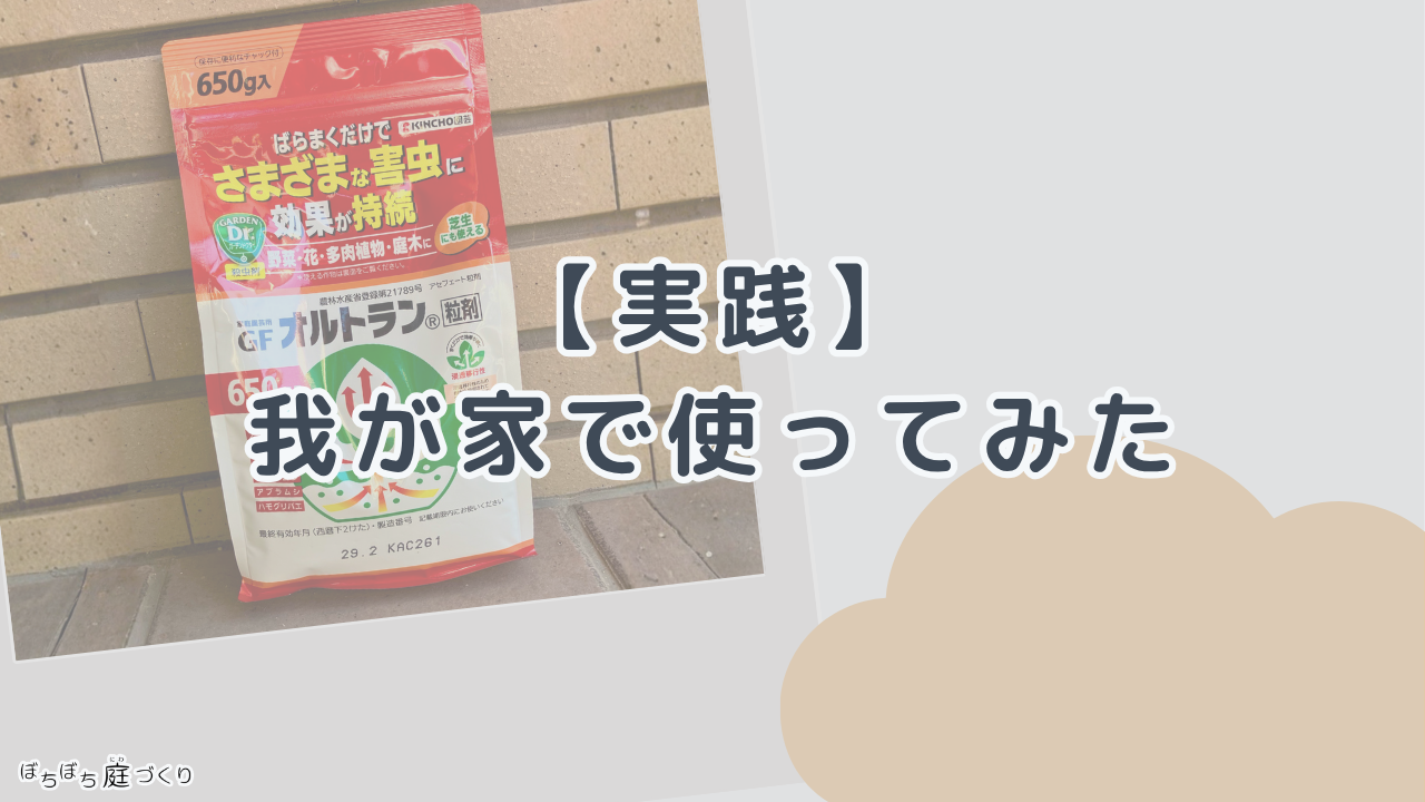 我が家で使ってみたの見出し画像