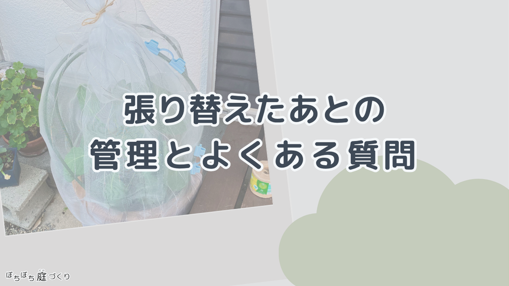 張り替えたあとの管理とよくある質問の見出し画像