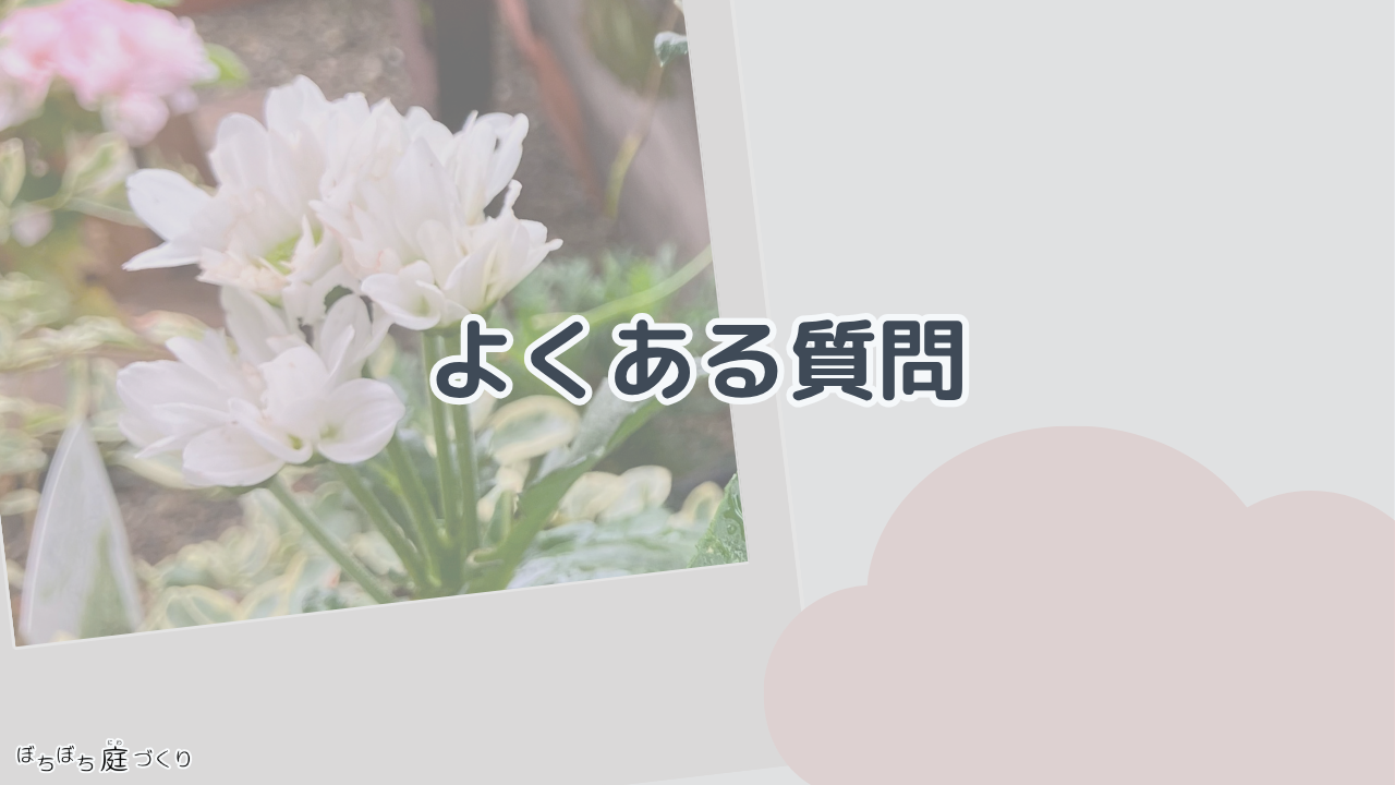 よくある質問の見出し画像